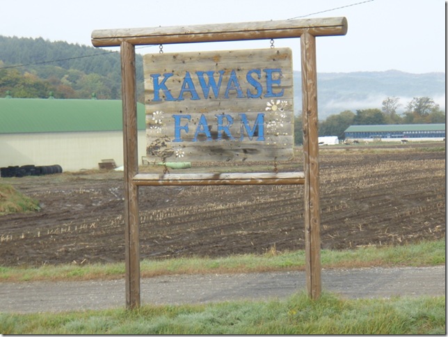為替農場/”KAWASE”(Foreign exchange) farm