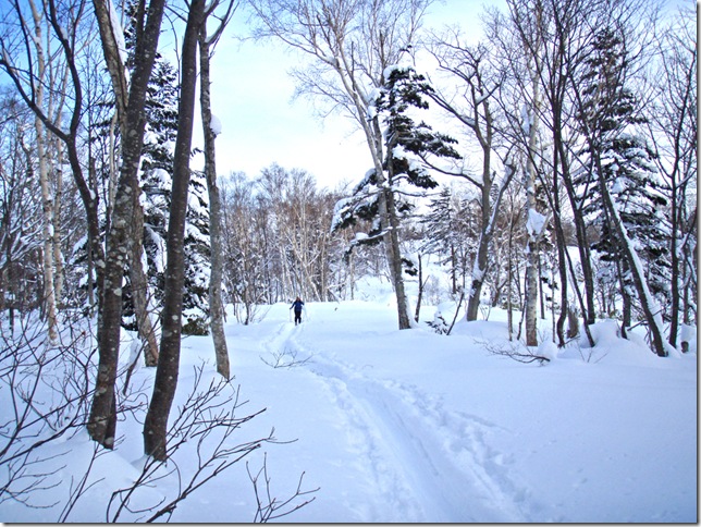 Ski tour in Japan.    